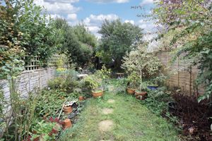 Garden- click for photo gallery